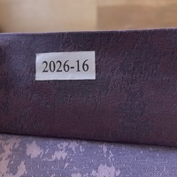 Софт мраморный 2026 №16 фиолетовый 280 см